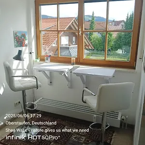 Apartment Allgaeu Vibes - Fusslaeufige Erreichbarkeit Vom Bahnhof, Mit Aussicht, Wettergeschuetzter Balkon, Oberstaufen